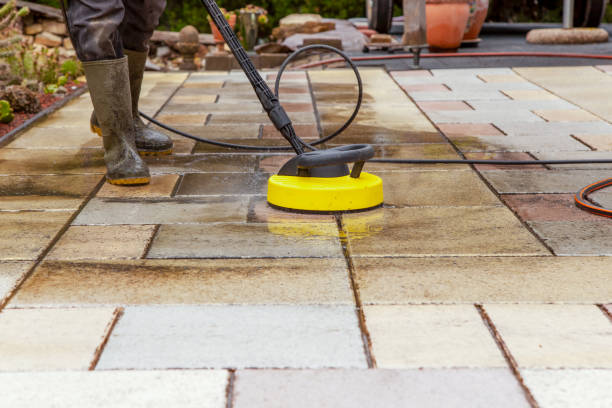 Best Animal Enclosure Cleaning  in Snowmass Village, CO